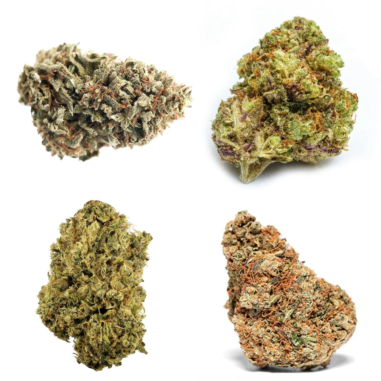 Cape Ann Cannabis Rowley, MA Dispensary Leafly